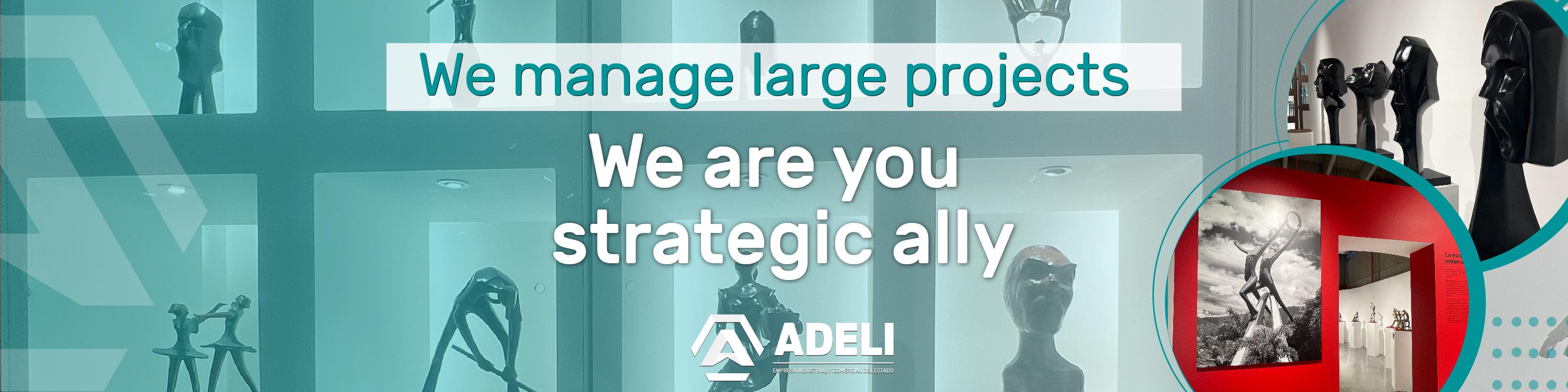 Gerenciamos grandes proyectos ¡somos tu aliado estratégico!