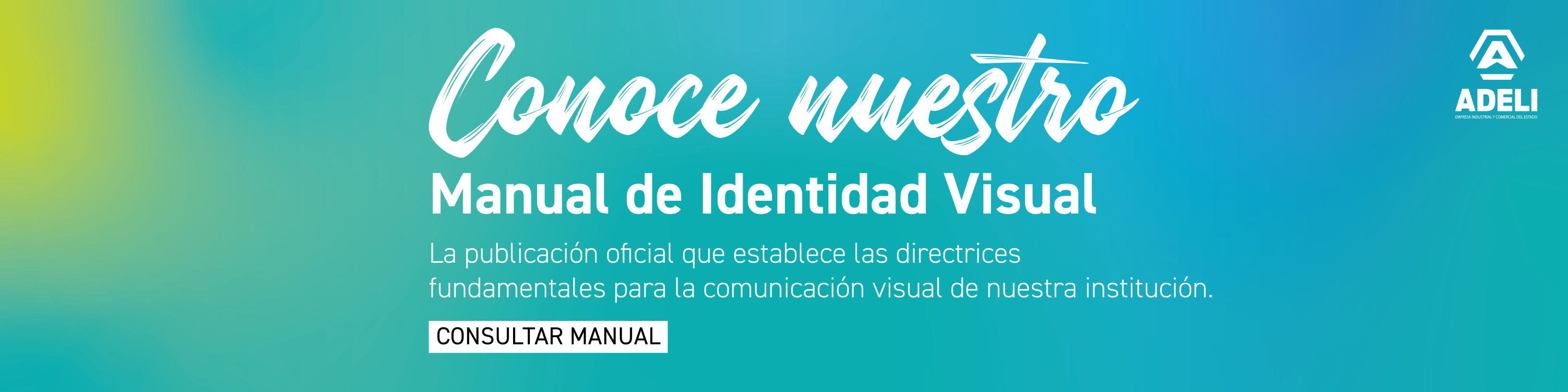 Manual de identidad visual